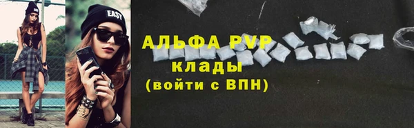 ECSTASY Новодвинск