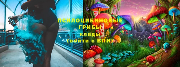 тгк Новокубанск