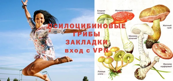 jwh Новозыбков