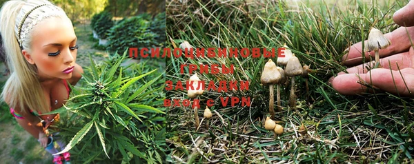 ECSTASY Новодвинск