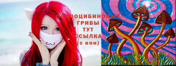 тгк Новокубанск