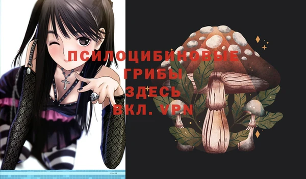 ECSTASY Новодвинск
