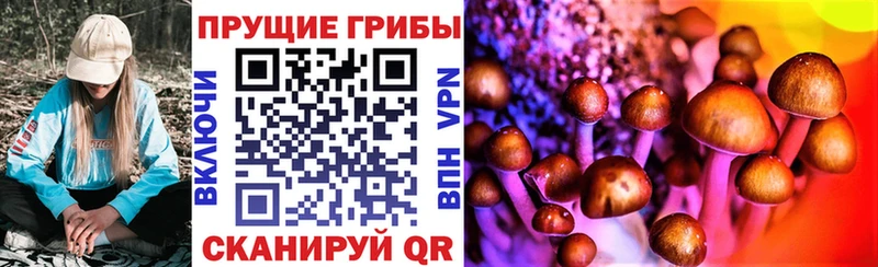 Псилоцибиновые грибы Psilocybe  Алатырь 