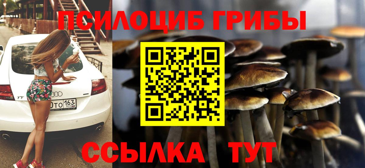 Галлюциногенные грибы Psilocybine cubensis  Вход с VPN  Алатырь 
