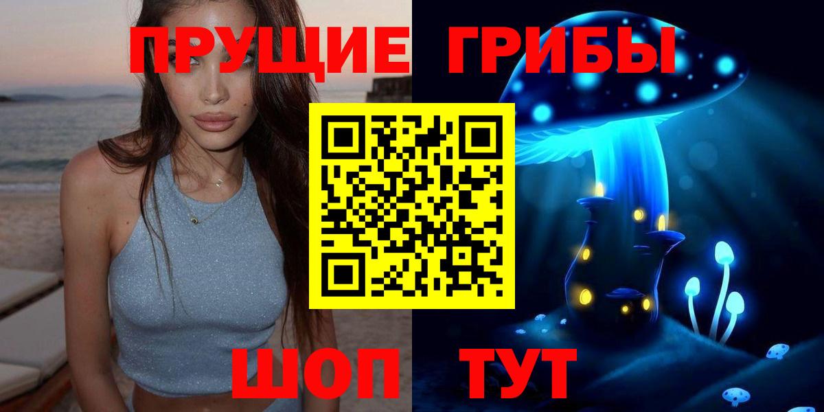 Галлюциногенные грибы Psilocybe  Алатырь 