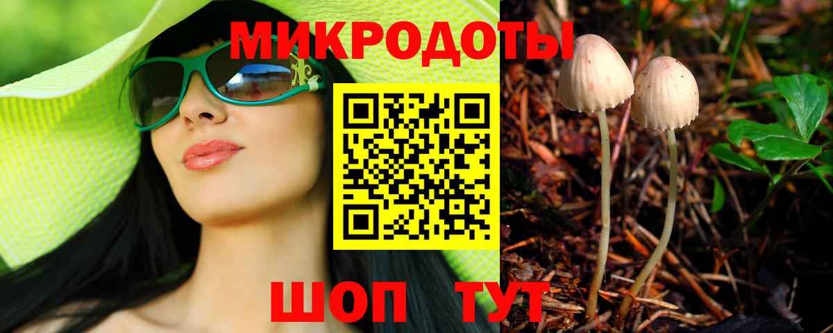 Галлюциногенные грибы Cubensis  Вход с VPN  Алатырь 
