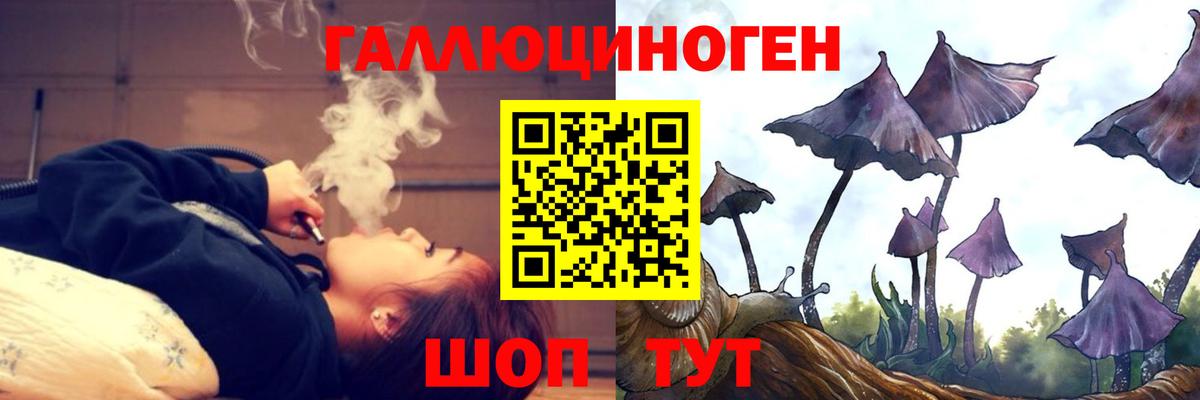 Псилоцибиновые грибы Magic Shrooms Алатырь