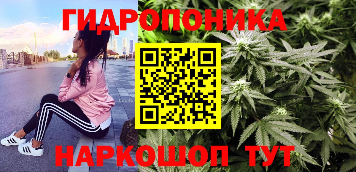 Шишки марихуана индика Алатырь